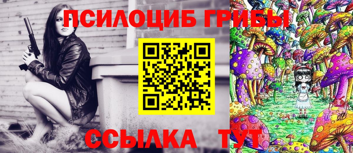 Псилоцибиновые грибы GOLDEN TEACHER Лесосибирск